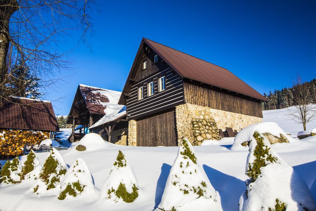 Chata Pod Lipami Hotel Rokytnice nad Jizerou Exterior photo